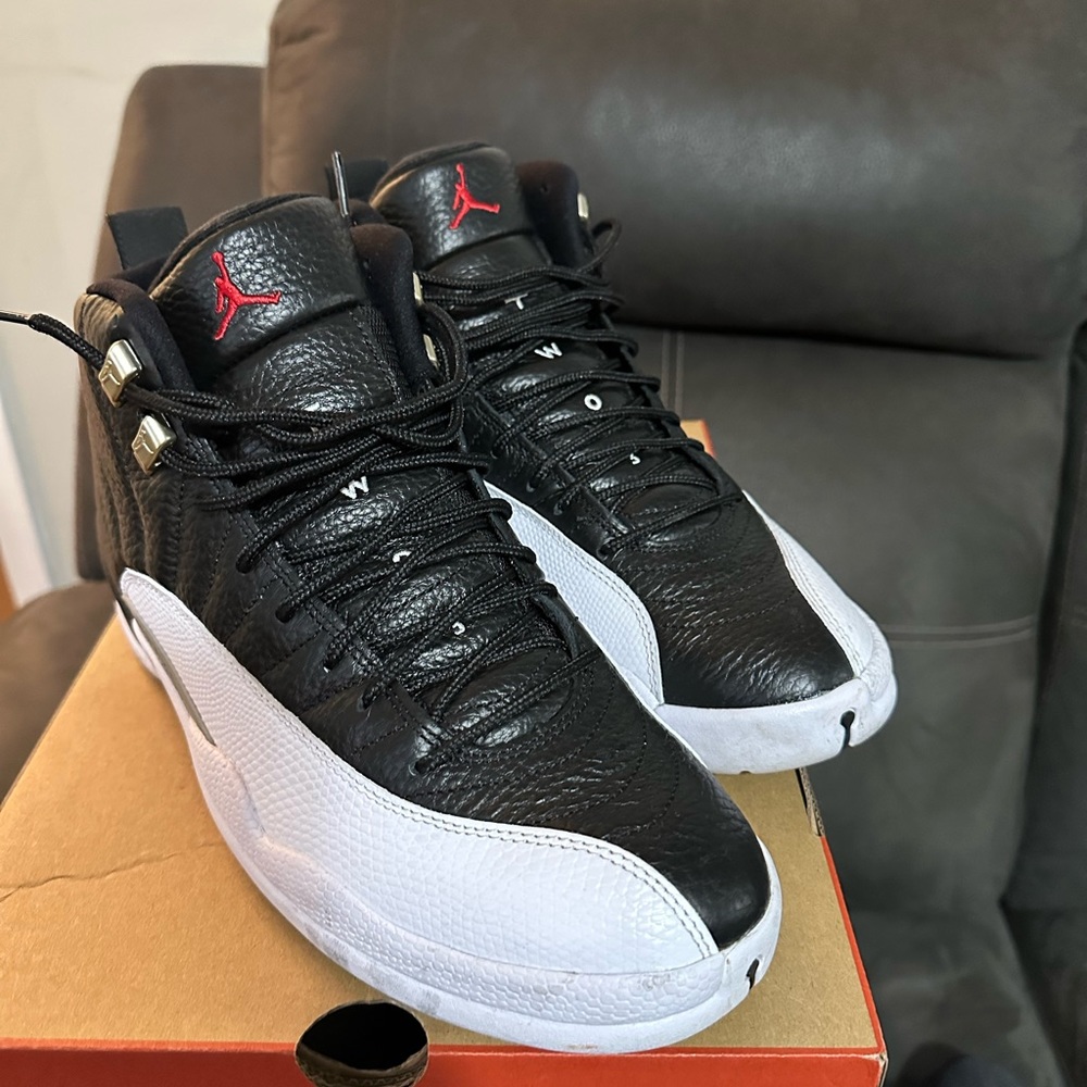 Air Jordan 12 black and white